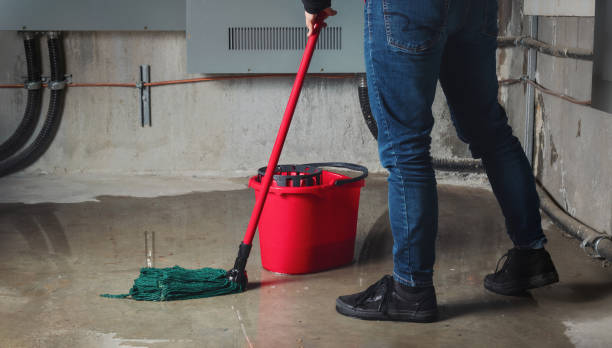 Best Professional water damage repair  in Alanuk, AK