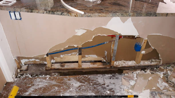 Best Water damage restoration company  in Alanuk, AK