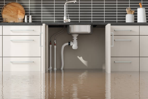 Best Mold removal after water damage  in Alanuk, AK