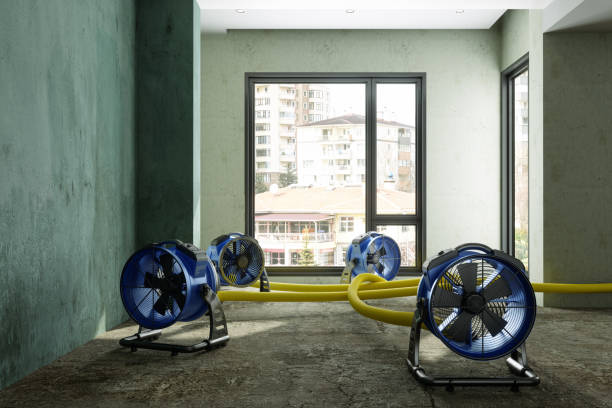 Best Carpet water damage restoration  in Alanuk, AK