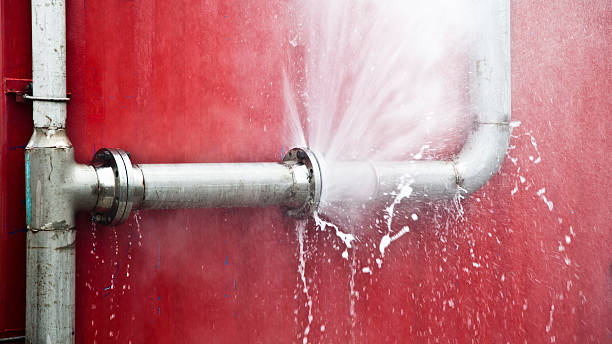 Water damage restoration mold remediation in Alakanuk, AK